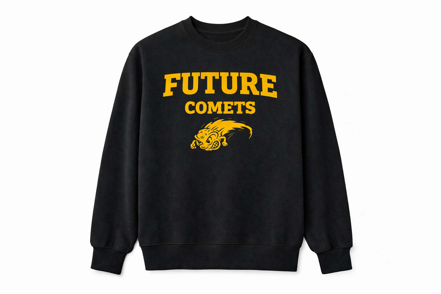 Future Comets